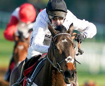 betting on champion hurdle|Champion Hurdle Betting Odds.
